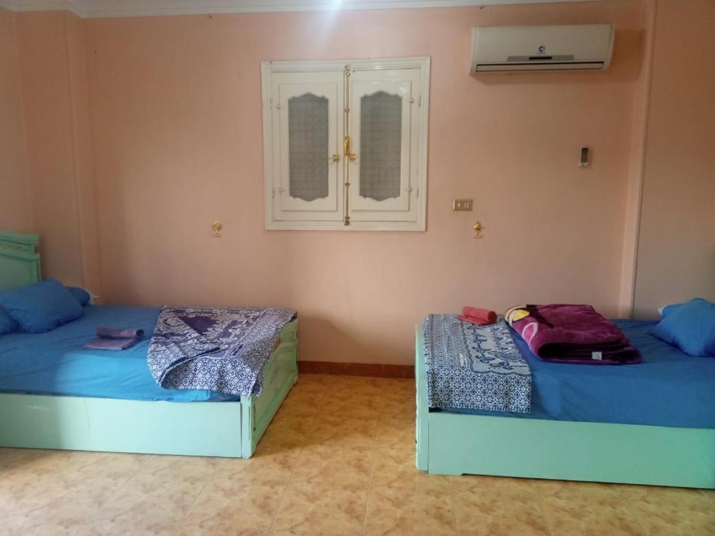 אסואן Go Inn Backpackers מראה חיצוני תמונה