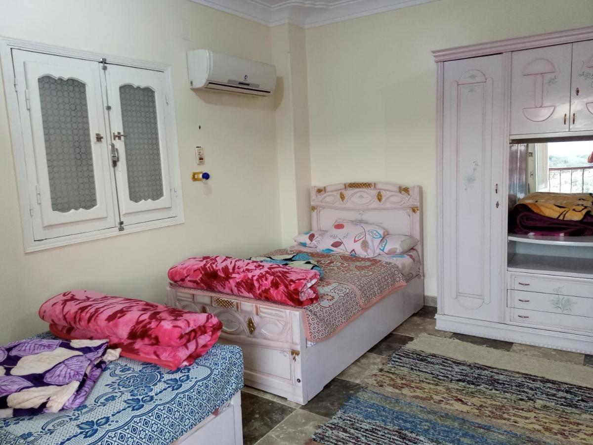 אסואן Go Inn Backpackers מראה חיצוני תמונה